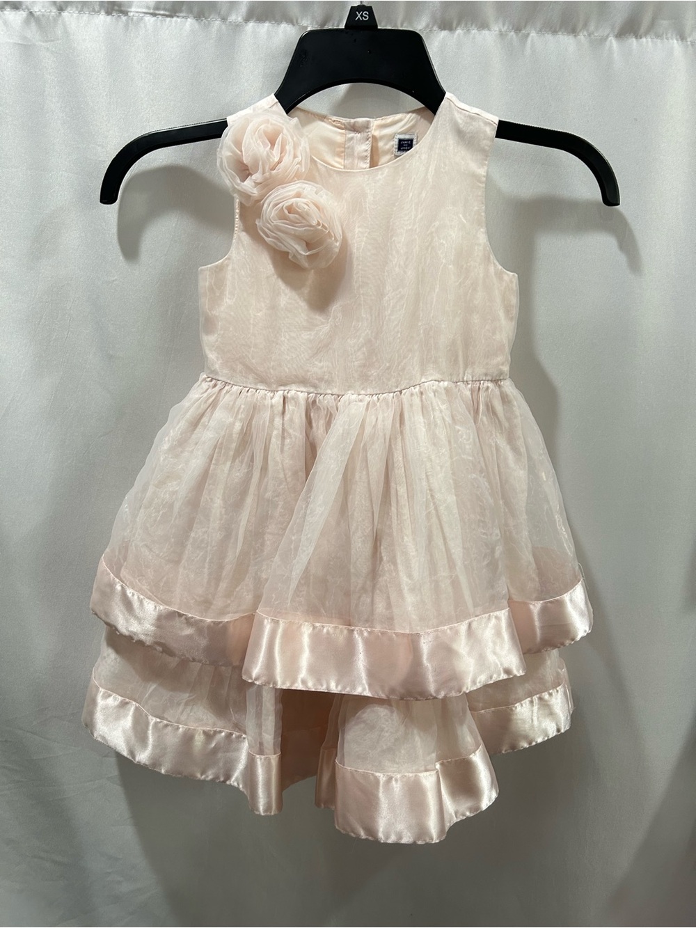 Janie and Jack Piroutte Petals Blush Layered Organza dress EUC